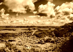 Sepia