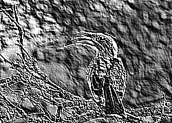 Skamielina