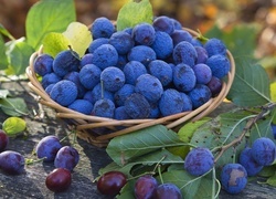Oryginalny obrazek