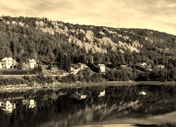 Szary + Sepia