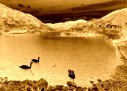 Sepia + Negatyw