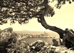 Sepia