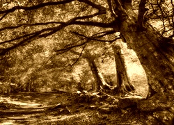 Sepia