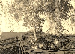 Sepia + Negatyw