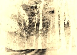 Sepia + Negatyw