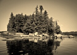 Szary + Sepia