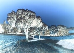 Negatyw