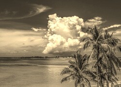 Szary + Sepia