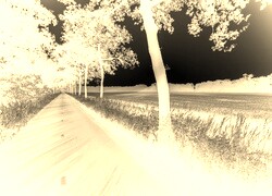 Sepia + Negatyw