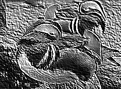 Skamielina