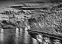 Skamielina