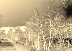 Sepia + Negatyw