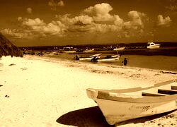 Sepia