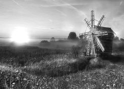 Szary + Sepia