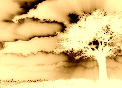 Sepia + Negatyw