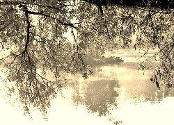 Szary + Sepia