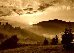 Sepia