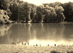 Sepia