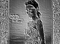Skamielina