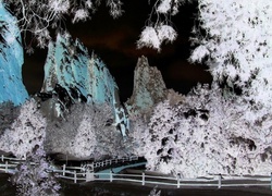 Negatyw
