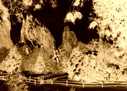 Sepia + Negatyw
