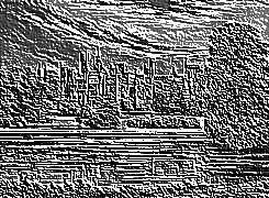 Skamielina