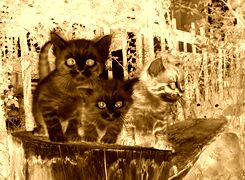 Sepia + Negatyw