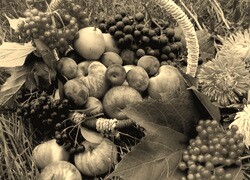 Szary + Sepia