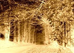 Sepia + Negatyw