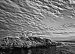 Skamielina
