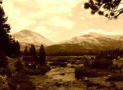 Sepia