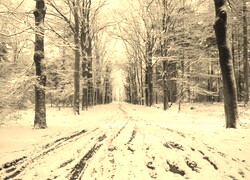 Sepia