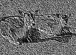 Skamielina