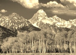 Sepia