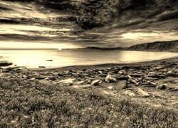 Szary + Sepia