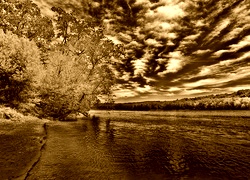 Sepia