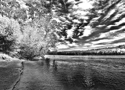 Szary + Sepia