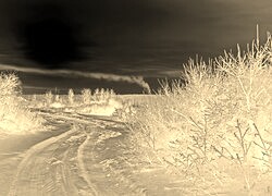 Sepia + Negatyw