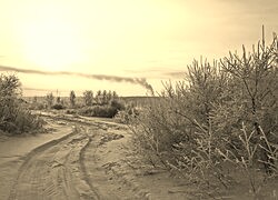 Szary + Sepia