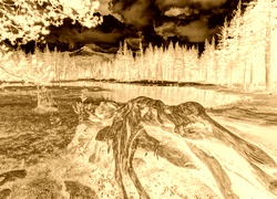 Sepia + Negatyw
