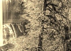 Sepia