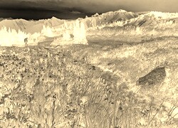 Sepia + Negatyw