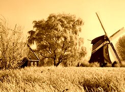 Sepia