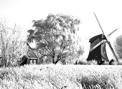 Szary + Sepia