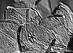 Skamielina