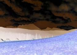 Negatyw