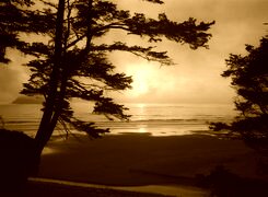 Sepia