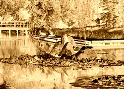 Sepia + Negatyw