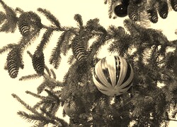 Szary + Sepia