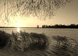 Szary + Sepia
